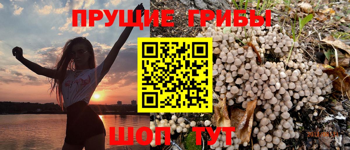 Галлюциногенные грибы ЛСД Димитровград